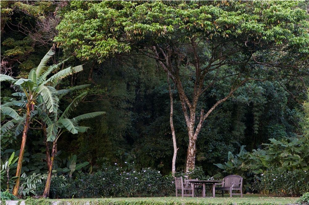 The Haven - Hotel & Spa, - Adults Only Boquete Eksteriør billede