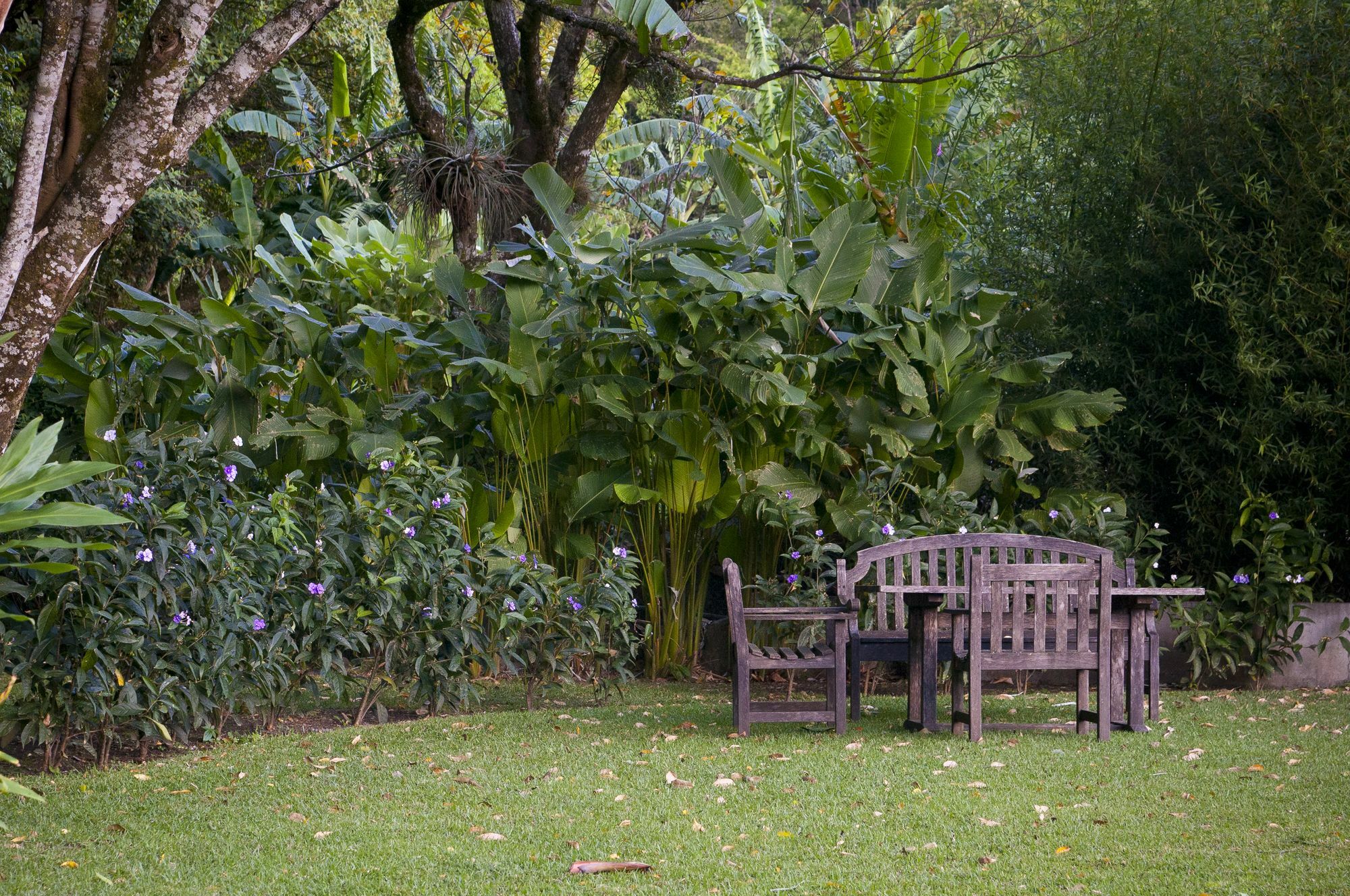 The Haven - Hotel & Spa, - Adults Only Boquete Eksteriør billede