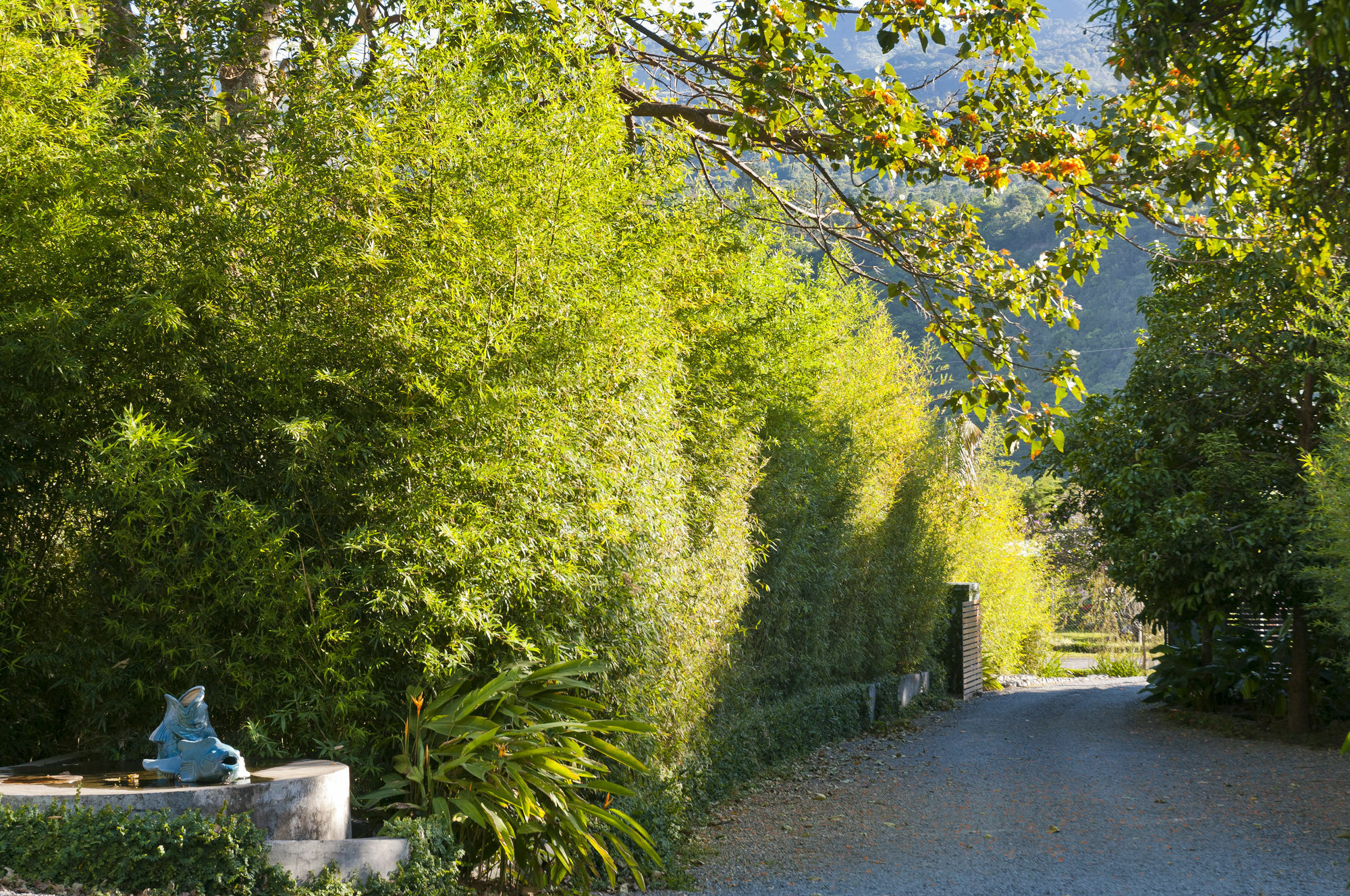 The Haven - Hotel & Spa, - Adults Only Boquete Eksteriør billede